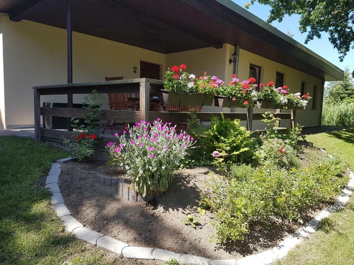 Ferienwohnanlage "Am Bernsteinsee" Apartment Dierhagen Ngoại thất bức ảnh
